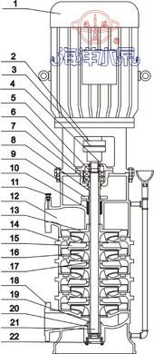 DL立式多级低转速清水泵结构示意图