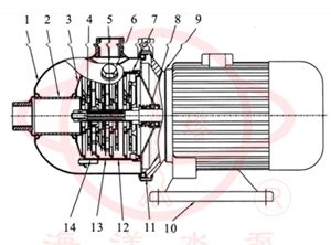 CHL不锈钢卧式多级泵(外筒型)结构图 